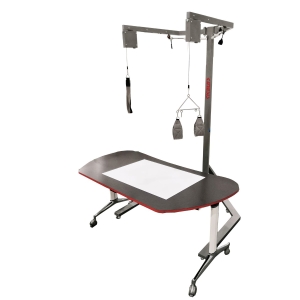 System odciążenia ręki ARMNESIS – widok kompletnego urządzenia z podwieszeniem.