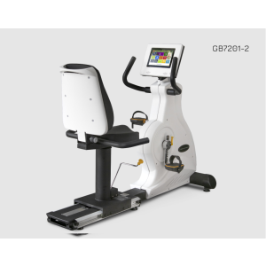 Rower Poziomy GB7201 TFT 10,1"