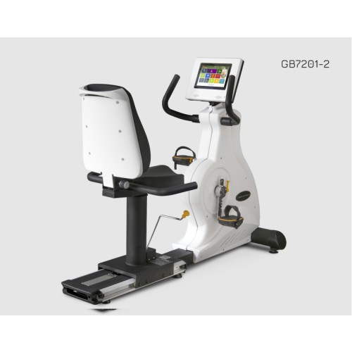Rower Poziomy GB7201 TFT 10,1"