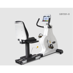 Rower Poziomy GB7201 LCD 9"