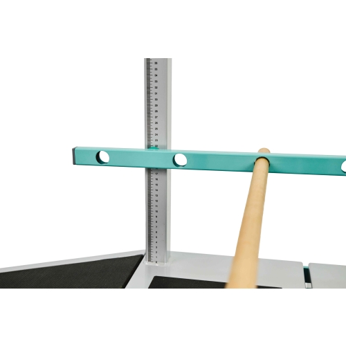 Schody elektryczne do nauki chodzenia  GoStep